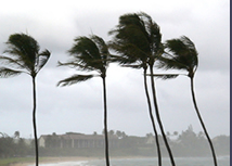 Florida Hurricane Insurance