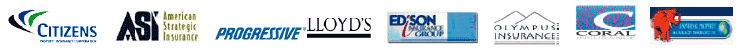Homeowners Insurance Policy Providers in Florida